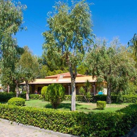 Villaggio Holiday Beach Diamante Exterior foto